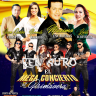 El Mega Concierto de Primavera  Long Island