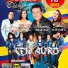 El Mega Concierto de Primavera - Chicago